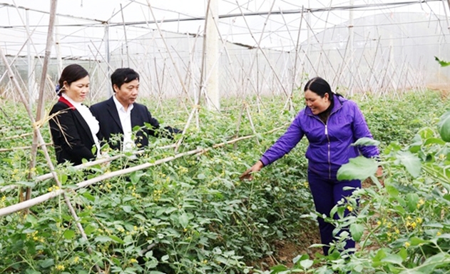 HTX đang trực tiếp đóng góp vào nhiều tiêu chí NTM của huyện