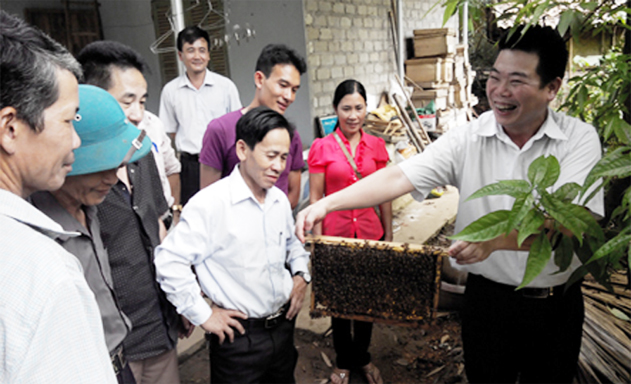 Một lớp hướng dẫn nuôi ong ở Yên Bái