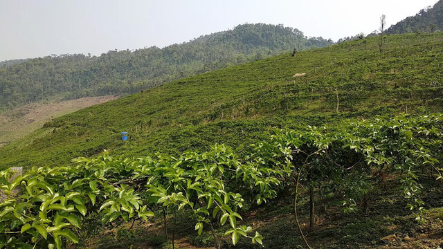 Hỗ trợ người dân phát triển các mô hình kinh tế được huyện nhấn mạnh