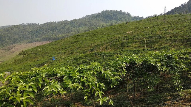 Hỗ trợ người dân phát triển các mô hình kinh tế được huyện nhấn mạnh