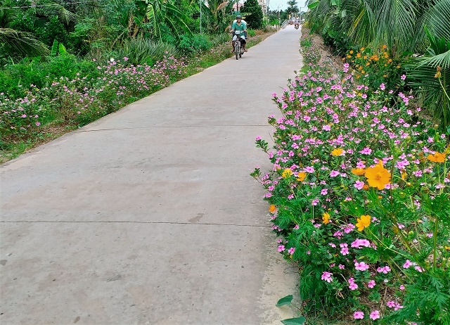 Những tuyến đường hoa giúp đường làng ngõ xóm thêm sạch đẹp