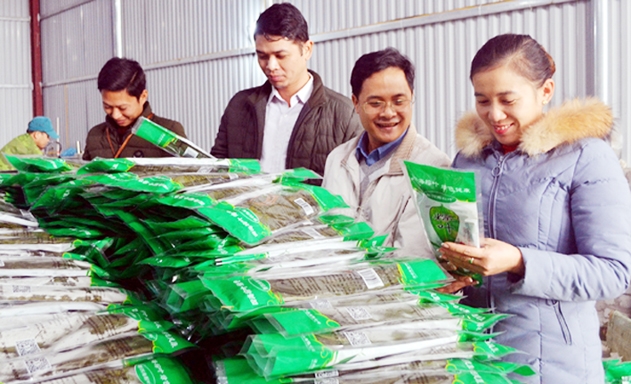 Sản phẩm lá tre Bát độ của HTX