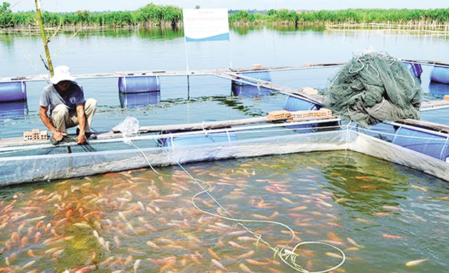 Muốn mở rộng sản xuất, chăn nuôi nhưng nhiều HTX ở Bắc Ninh gặp khó khăn về vốn