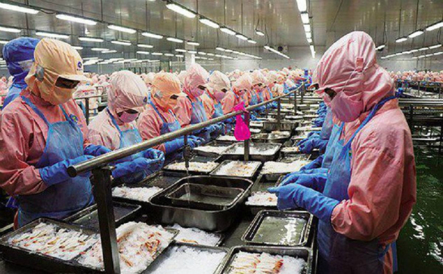 Cổ phiếu MPC của vua tôm Minh Phú tiếp tục lao dốc