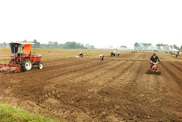 Quế Võ dự kiến đẩy mạnh phát triển và nhân rộng các mô hình điểm nhằm tạo sức lan tỏa