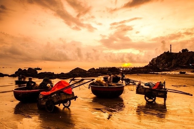 Câu mực bằng thuyền thúng là một trong những trải nghiệm hấp dẫn tại đảo