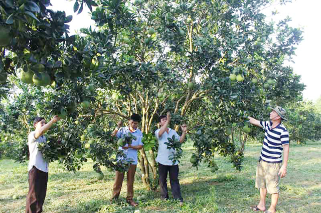 Công tác ATLĐ đang được huyện chú trọng nhằm phát triển bền vững