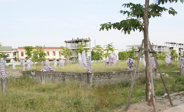 Thị trường bất động sản các tỉnh rơi vào trầm lắng