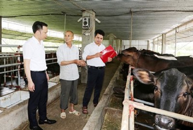 Chủ động gắn công tác cho vay theo chương trình xây dựng NTM với các chương trình tín dụng chính sách phục vụ phát triển nông nghiệp, nông thôn, Agribank góp phần phát triển kinh tế địa phương, nâng cao đời sống vật chất và tinh thần cho nhân dân