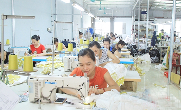 Các mô hình ĐTN tỉnh Thanh Hóa đang tạo sức lan toản mạnh mẽ, giải quyết việc làm cho hàng nghìn lao động nông thôn