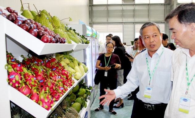 Trái cây vùng ĐBSCL cần tận dụng lợi thế để thương mại hóa