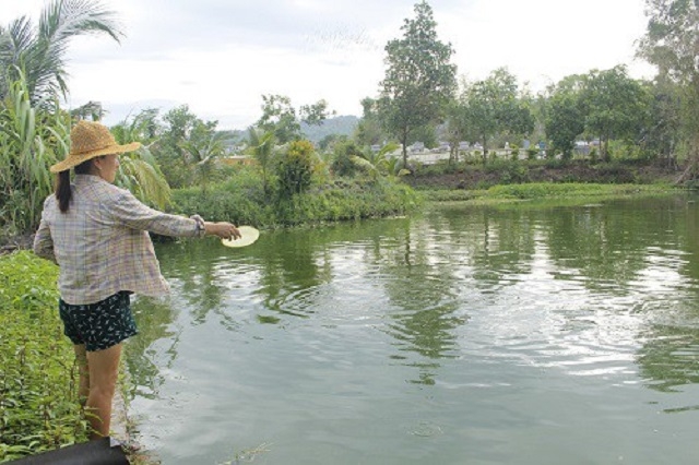 Nhiều lao động đã áp dụng kiến thức học nghề vào sản xuất