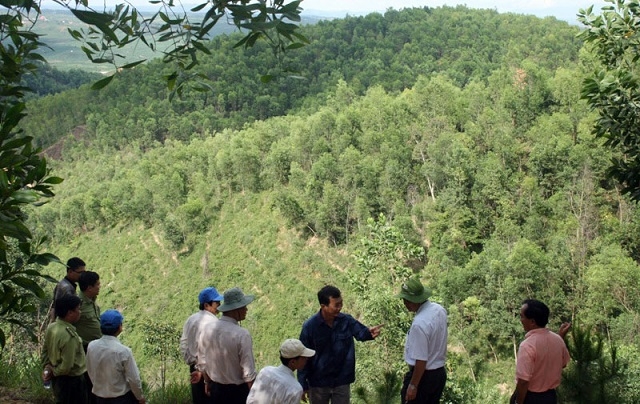 Trồng rừng gắn với phát triển kinh tế được nhiều người dân lựa chọn