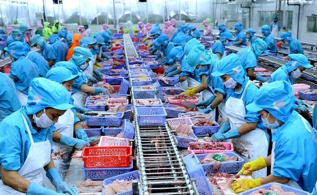 665 doanh nghiệp thủy sản Việt Nam được xuất khẩu vào Trung Quốc (Ảnh Internet)