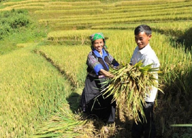 Đời sống người dân dần được cải thiện