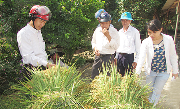 HTX đang là đầu tàu phát triển OCOP, thúc đẩy NTM tại Núi Thành