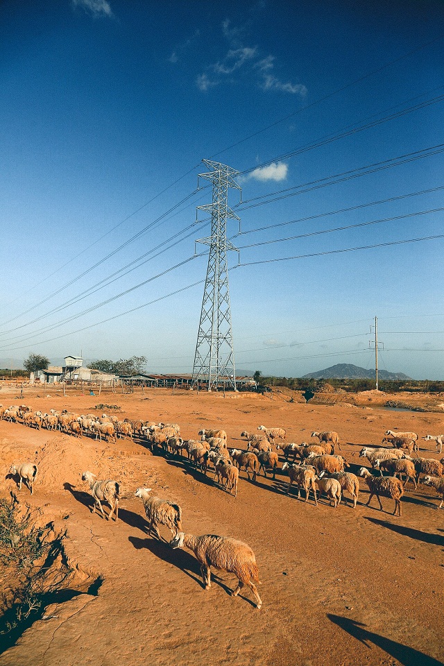 Ninh Thuận hấp dẫn du khách bằng tiềm năng tự nhiên hiếm nơi nào sánh được