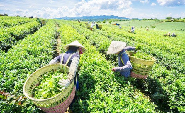 Phú Lương đang hướng tới chuẩn huyện NTM vào năm 2020