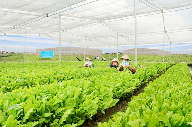 Xây dựng mô hình điểm là bước đi quan trọng, tạo sức lan tỏa trong thực hiện ATVSLĐ