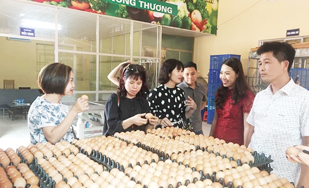 Ban giám hiệu và đại diện Hội cha mẹ học sinh Trường Tiểu học Hồ Tùng Mậu thăm cửa hàng thực phẩm sạch của HTX