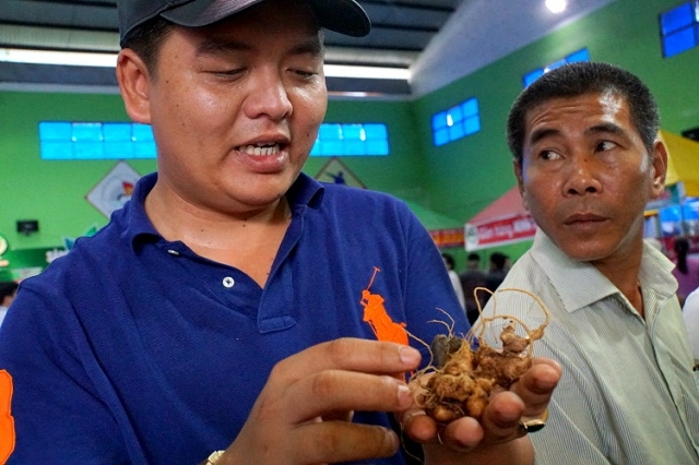 Nhiều người dân Tu Mơ Rông phấn khởi vì lựa chọn sâm Ngọc Linh để phát triển kinh tế