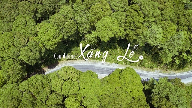 Con đường đi xuyên qua rừng săng lẻ (hay xăng lẻ theo tiếng địa phương) đẹp không thua kém các thước phim quay nơi trời Tây