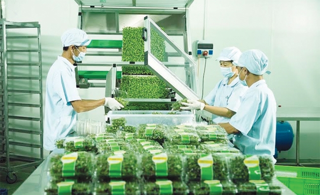 Mô hình hoạt động của HTX, THT đa dạng, đáp ứng được yêu cầu của sản xuất nông nghiệp và nhu cầu thị trường