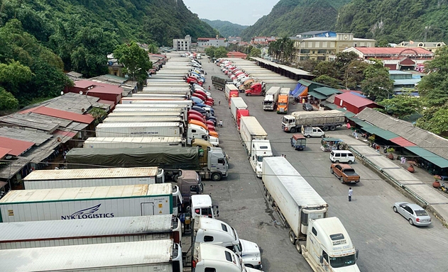 Xuất khẩu chính ngạch sẽ rèn các DN Việt Nam đi vào khuôn khổ