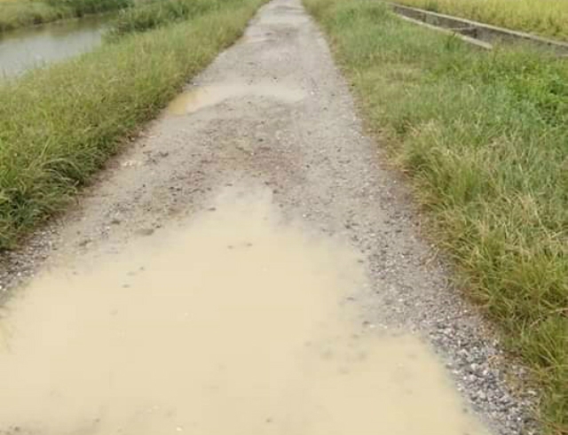 Nhiều người dân sốt ruột khi chờ mãi chưa có đường mới