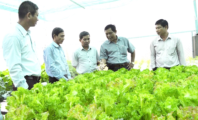 Kiên Giang đang phát huy hiệu quả dạy nghề nhờ gắn đào tạo với nhu cầu thị trường