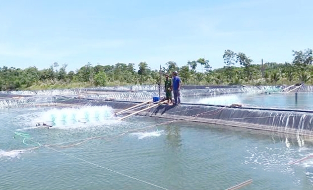 Các HTX NTTS đang là điểm sáng trong xây dựng NTM ở Quảng Xương