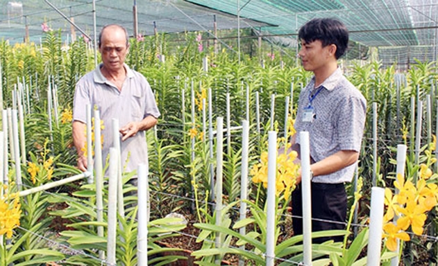 Nhiều HTX ở Tp.HCM đã ứng dụng thành công kỹ thuật sản xuất tiến tiến vào sản xuất