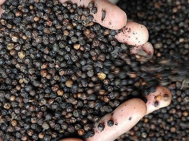 Giá hồ tiêu trầm lắng trên các thị trường (Ảnh Internet)