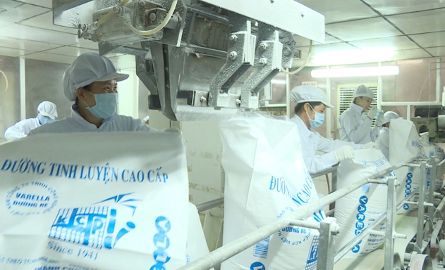 Ngành mía đường đang đứng trước khó khăn vì đường nhập lậu