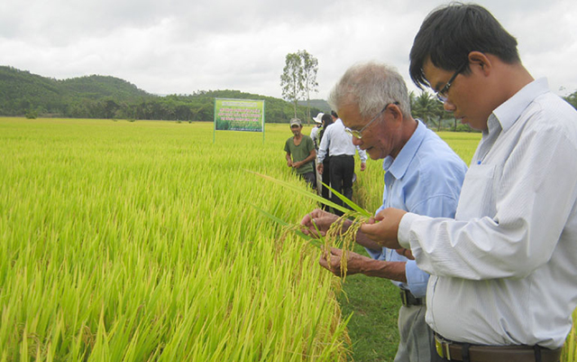 Các HTX tại Phù Yên đang tạo sức lan tỏa mạnh mẽ từ các chương trình dạy nghề, tạo việc làm