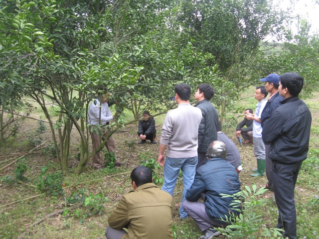 HTX sẽ là nhân tố chủ lực giải quyết bài toán việc làm tại khu vực nông thôn ở Hà Giang