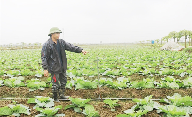 Nhờ sản xuất hiệu quả, HTX có đóng góp tích cực vào NTM