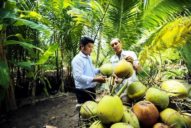 Tổ hợp tác đang phát huy hiệu quả nhờ sản xuất an toàn