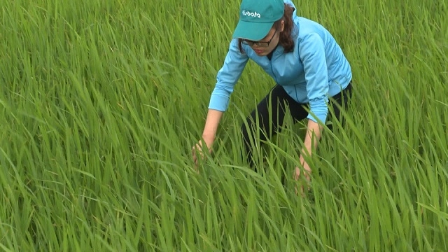 Các HTX đang thu hút cán bộ trẻ về làm việc