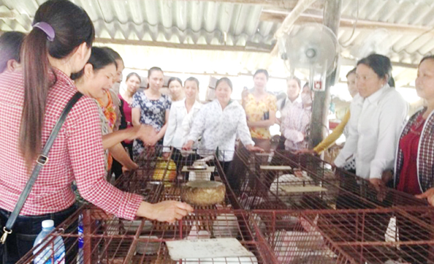 Mô hình nuôi thỏ của HTX Hợp Thành