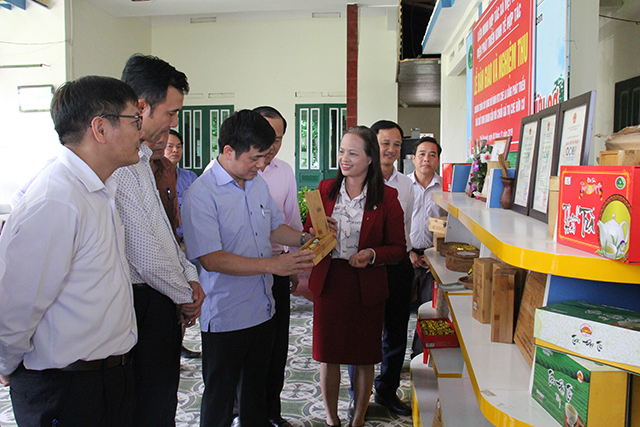 Các đại biểu khảo sát mô hình sản xuất chè hữu cơ của HTX La Bằng