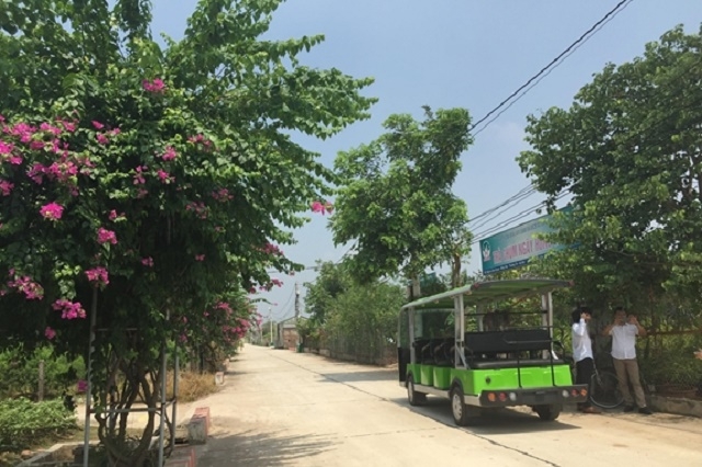 Trồng hoa, cây cảnh hai bên đường tại xã Hồng Vân