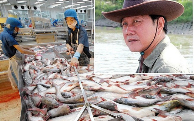 Cổ phiếu HVG của Thủy sản Hùng Vương tiếp tục tăng trần bất chấp kết quả kinh doanh thua lỗ