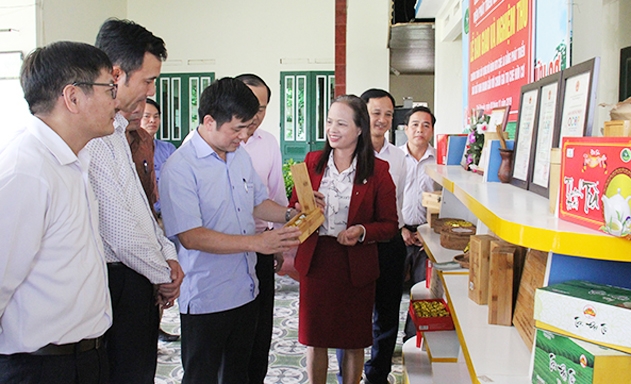 Phó Chủ tịch Nguyễn Văn Thịnh thăm quan