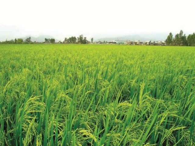 Nghĩa Hành chủ trương phát triển HTX gắn với xây dựng NTM