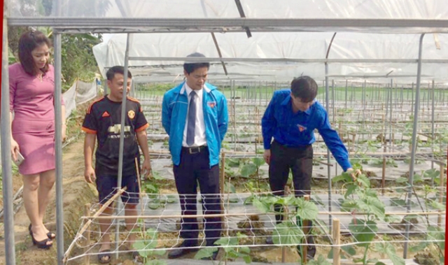 HTX là điểm tựa để Bắc Quang hoàn thành mục tiêu NTM