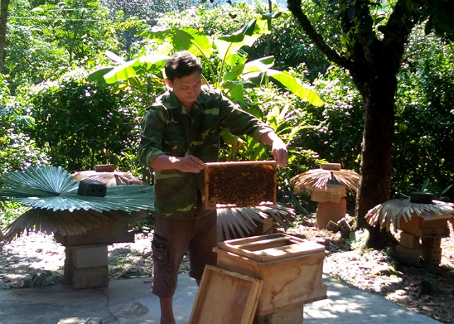 Mô hình nuôi ong mật giúp người dân Minh Hóa giảm nghèo hiệu quả