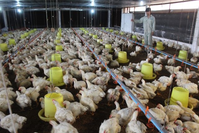 Đồng Nai chú trọng sản xuất sạch để mang lại lợi ích môi trường