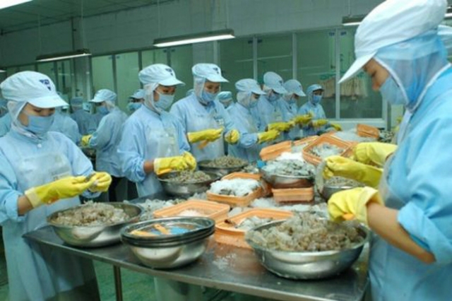 Thuận Phước chuyên sản xuất và kinh doanh các mặt hàng thủy sản đông lạnh xuất khẩu