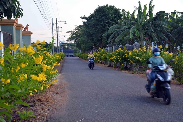 Môi trường nông thôn ở Đồng Nai ngày càng cải thiện